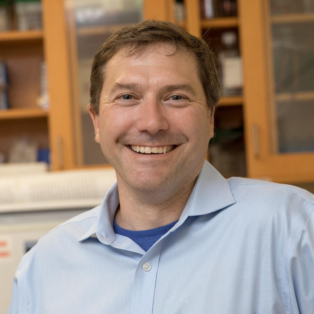 Dr. Eric Gross in lab setting