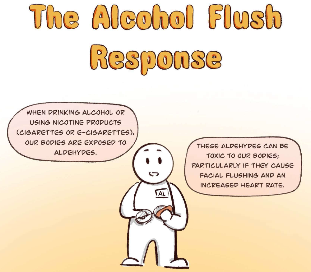 Thumbnail of comic strip explaining the alcohol flush response